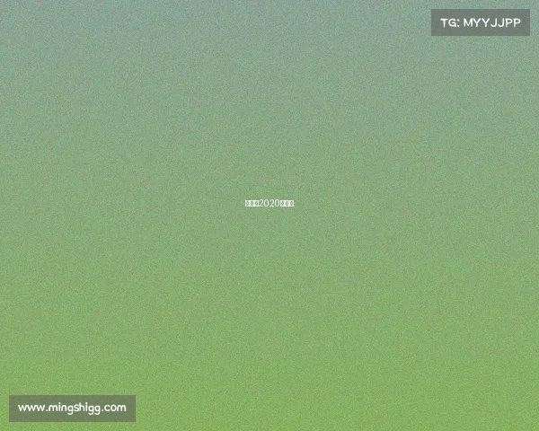 法国队2020年赛程